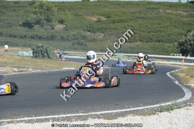 DSC (3933).JPG